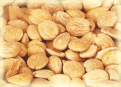 Procesado de frutos secos Procesado de frutos secos, fabricantes de maquinas para procesar almendras, cacahuetes, pistachos y todo tipo de frutos secos. Maquinas para hacer helados y turrones.